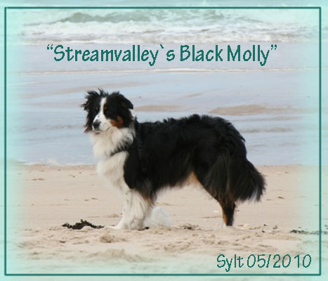 Molly-Sylt-05.2010